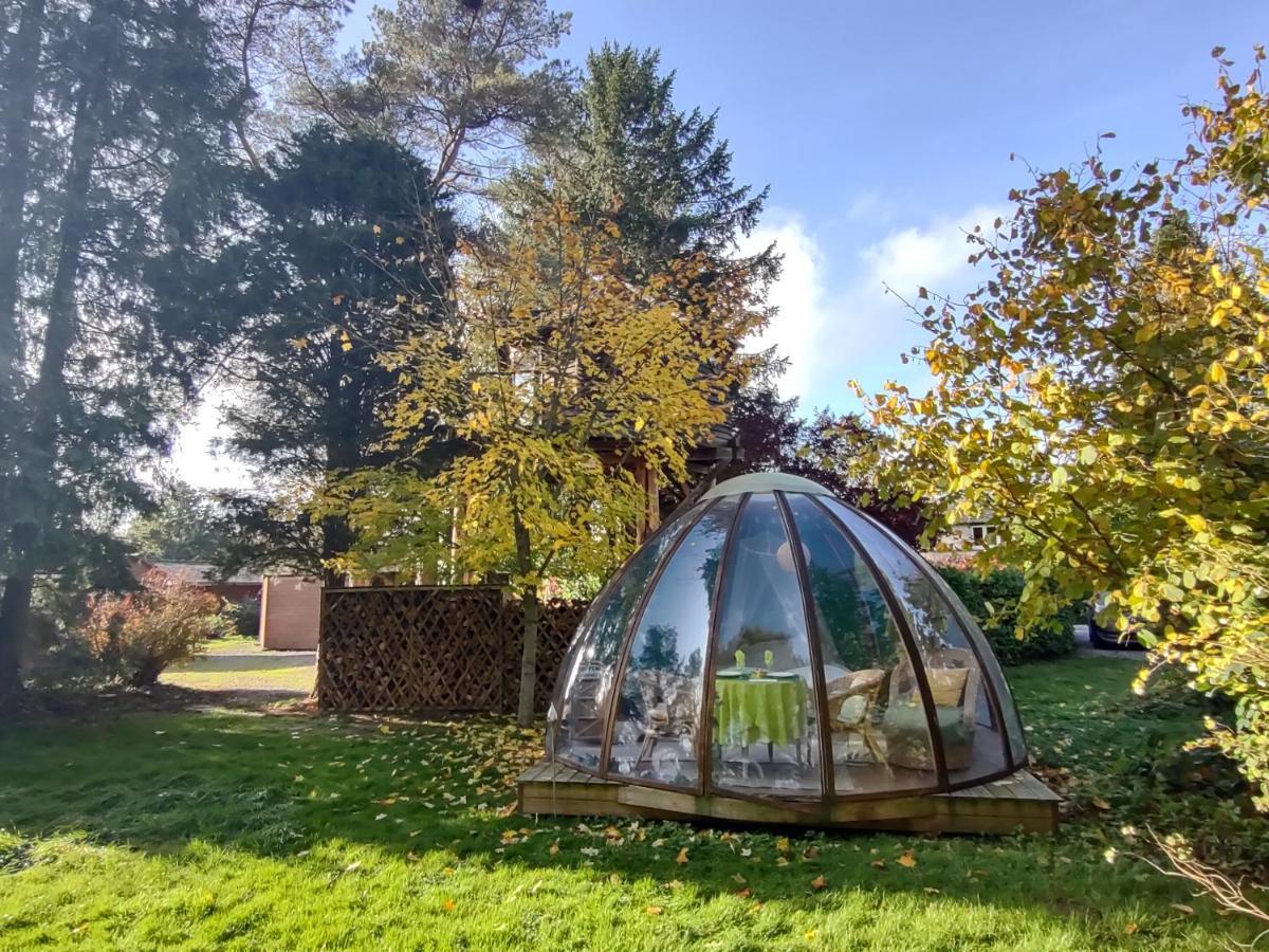 Domaine De La Carrauterie By Terre Insolite Sautin Exteriör bild